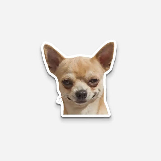 Funny Chihuahua Sticker
