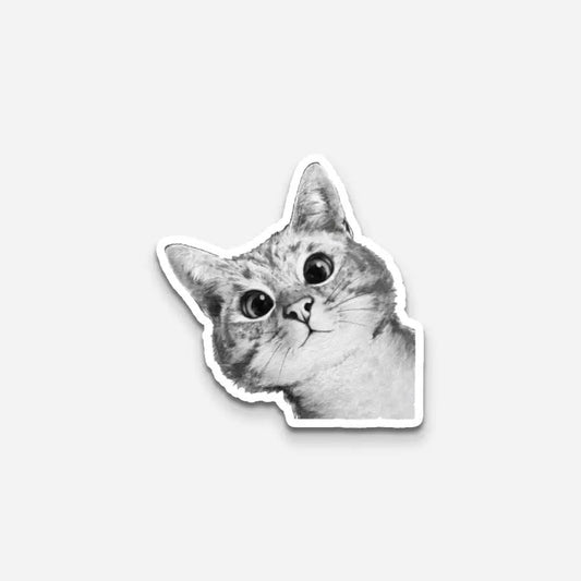 Balck & White Cat Sticker